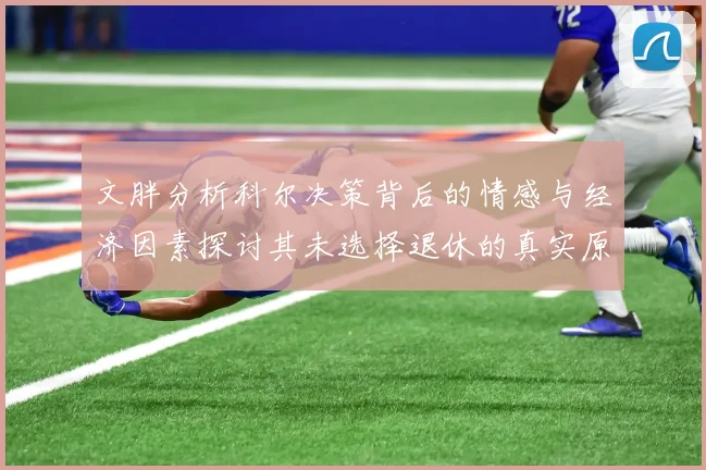 文胖分析科尔决策背后的情感与经济因素探讨其未选择退休的真实原因