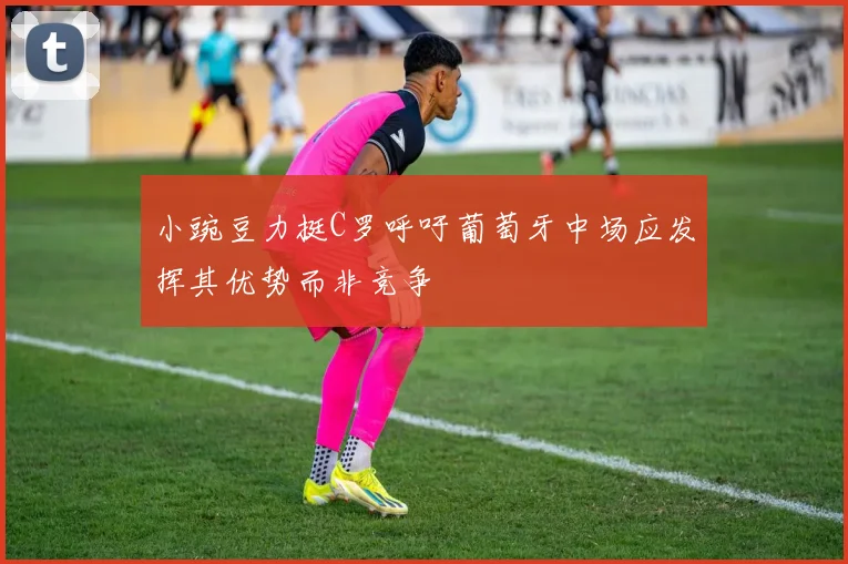 小豌豆力挺C罗呼吁葡萄牙中场应发挥其优势而非竞争