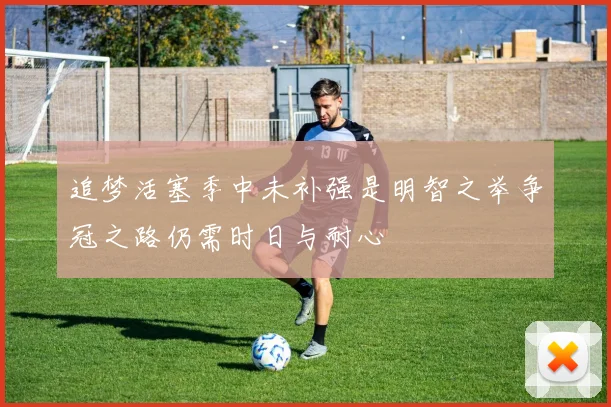 追梦活塞季中未补强是明智之举争冠之路仍需时日与耐心